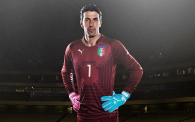 Buffon 4K 5K 8K HD Display Pictures Backgrounds Images For WhatsApp Mobile PC