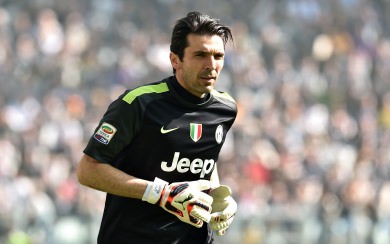 Buffon Free HD Display Pictures Backgrounds Images