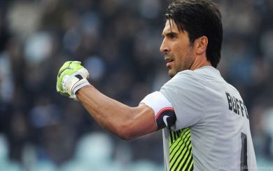 Buffon Free Wallpapers HD Display Pictures Backgrounds Images