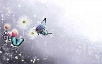 Butterflies 4K 8K 2560x1440 Free Ultra HD Pictures Backgrounds Images
