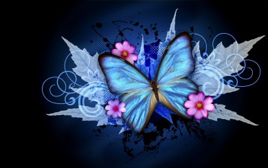 Butterflies 4K Backgrounds For Desktop And Mobile
