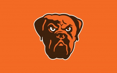 Cleveland Browns HD Wallpaper for Mobile 2560x1440