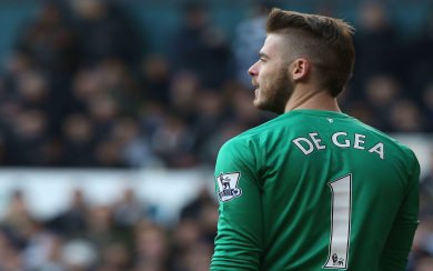 David De Gea Free Wallpapers HD Display Pictures Backgrounds Images
