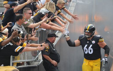 David DeCastro 4K 8K HD Display Pictures Backgrounds Images