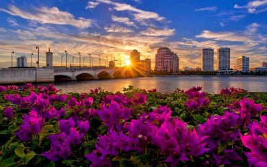 Florida Background Images HD 1080p Free Download