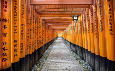 Fushimi Inari Taisha Wallpaper Photo Gallery Download Free