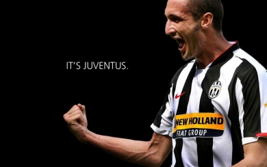Giorgio Chiellini 4K 5K 8K HD Display Pictures Backgrounds Images