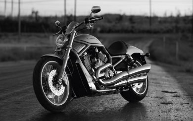 Harley Davidson 4K 5K 8K Backgrounds For Desktop And Mobile