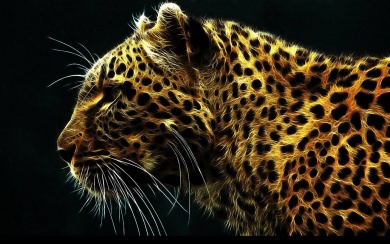 Jaguar 2560x1600 Free Ultra HD Download