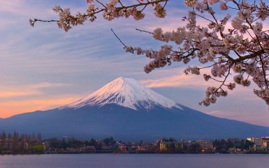 Mt Fuji Free HD Display Pictures Backgrounds Images