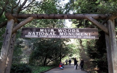 Muir Woods National Monument Free HD Display Pictures Backgrounds Images