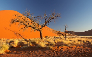 Namibia Free Wallpapers HD Display Pictures Backgrounds Images