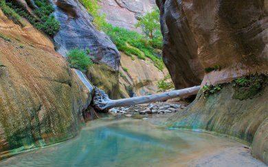 Narrows Zion National Park New Photos Pictures Backgrounds