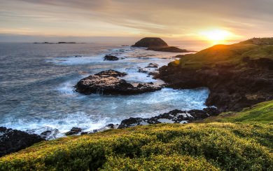 Nature Phillip Island Free Wallpapers Download In 5K 8K Ultra High Quality