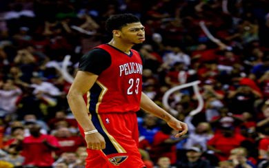 New Orleans Pelicans HD Background Images