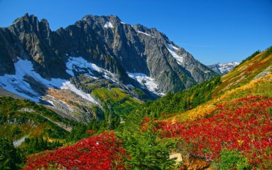 North Cascades National Park iPhone Images Backgrounds In 4K 8K Free