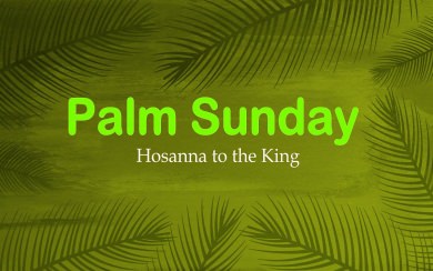 Palm Sunday HD 1080p 2020 2560x1440 Download