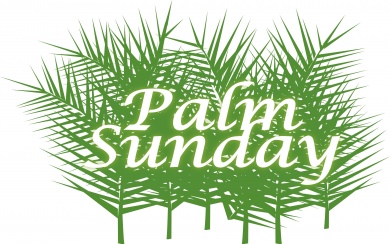 Palm Sunday HD Background Images