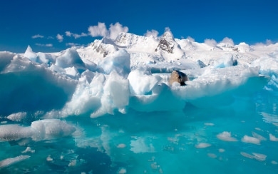 Paradise Bay Antarctica Wallpaper Widescreen Best Live Download Photos Backgrounds