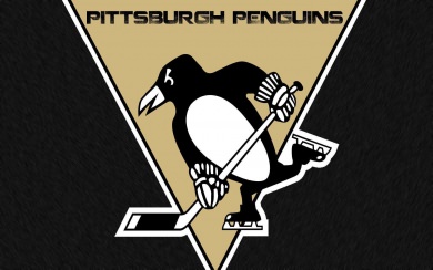 PicsPittsburgh Penguins 3elieve 2560x1600 Free Ultra HD Download