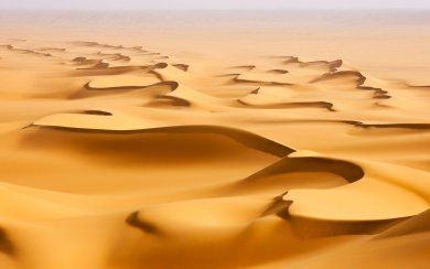 Sand Dunes 4K 5K 8K HD Display Pictures Backgrounds Images