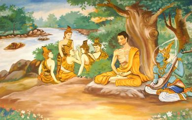 Sangha Background Images HD 1080p Free Download