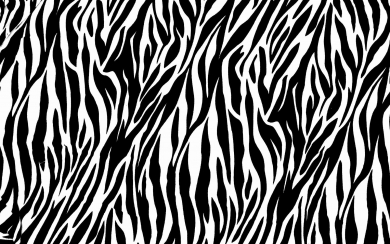 Scalamandre Zebras WhatsApp DP Background For Phones