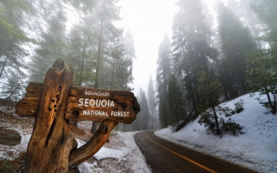 Sequoia National Park HD wallpaper For Mac Windows Desktop Android