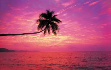 Sunset Beach HD Wallpaper For Mac Windows Desktop Android