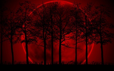 Super Blue Blood Moon HD 1080p Free Download For Mobile Phones