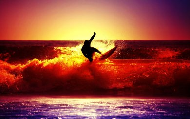Surfing Free Wallpapers HD Display Pictures Backgrounds Images