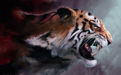 Tiger HD wallpaper For Mac Windows Android