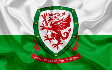 Wales National Football Team 4K 8K HD 2560x1600 Mobile Download