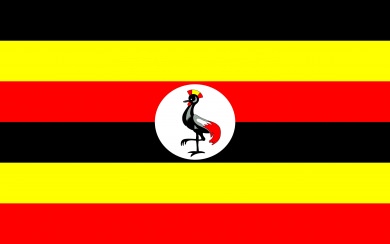 Wallpapers Uganda Knuckles HD 1080p 2020 2560x1440 Download