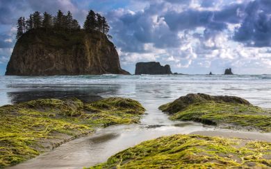 Washington State Download Free Wallpapers For Mobile Phones