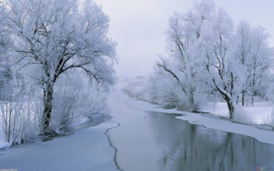 Winter 1366x768 Best New Photos Pictures Backgrounds