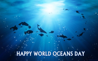 World Oceans Day 4K 5K 8K Backgrounds For Desktop And Mobile