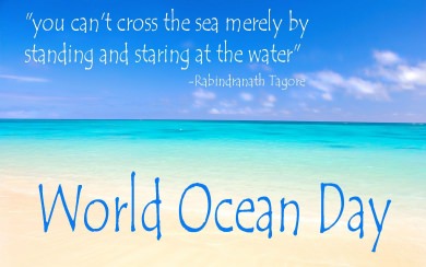 World Oceans Day 4K 5K 8K HD Mac iOS
