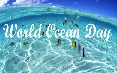 World Oceans Day 4K 8K HD 2560x1600 Mobile Download