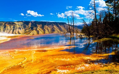 Yellowstone National Park 4K 8K HD 2560x1600 Mobile Download