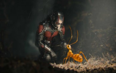 Ant Man Marvel Ultra HD Wallpapers 8K Resolution 7680x4320 And 4K Resolution