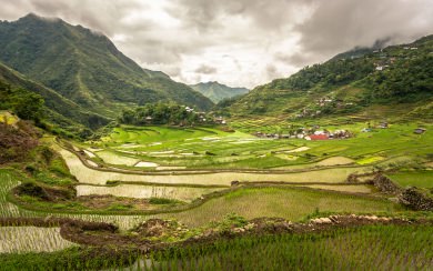 Banaue Rice Terraces Download Best 4K Pictures Images Backgrounds