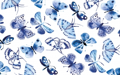 Butterflies Wallpapers 8K Resolution 7680x4320 And 4K Resolution