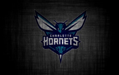 Charlotte Hornets iPhone 11 Back Wallpaper in 4K 5K