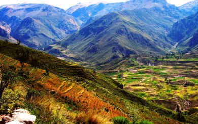 Colca Canyon iPhone 11 Back Wallpaper in 4K 5K