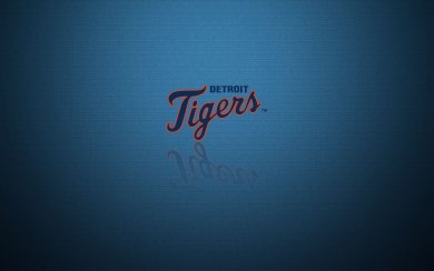 Detroit Tigers Download HD 1080x2280 Wallpapers Best Collection