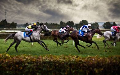 Horse Racing Live Free HD Pics for Mobile Phones PC