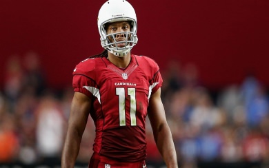 Larry Fitzgerald Free Wallpapers for Mobile Phones