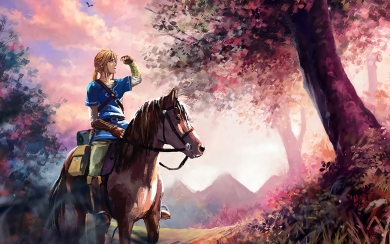 Legend Of Zelda Breath Of The Wild 3D Desktop Backgrounds PC & Mac