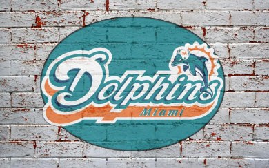 Miami Dolphins 4K Wallpapers for WhatsApp